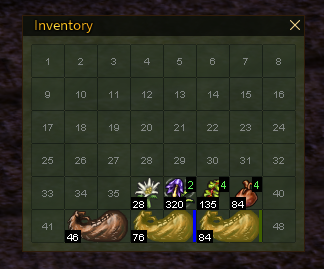 Inventory